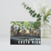 Cartes postales de Paradise Vacances Photo Carte p (Debout devant)