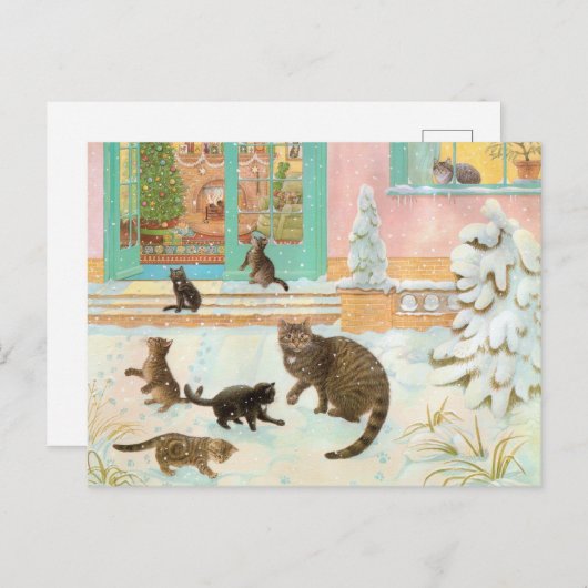 Cartes postales de peinture de chat (Devant / Derrière)