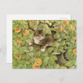 Cartes postales de peinture de chat (Devant / Derrière)