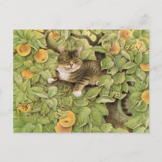 Cartes postales de peinture de chat (Devant)