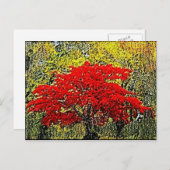 Cartes postales de peinture rouge d'automne (Devant / Derrière)