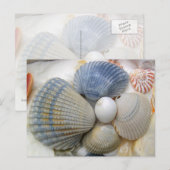 Cartes postales de photo Blue Seashell (Devant / Derrière)