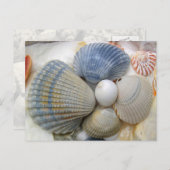Cartes postales de photo Blue Seashell (Devant / Derrière)