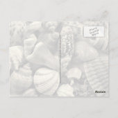 Cartes postales de photo Blue Seashell (Dos)