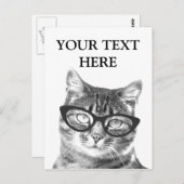 Cartes postales de photo de chat amusantes (Devant / Derrière)