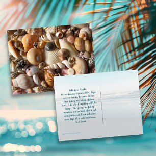Cartes postales de photographies de coquillages