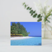 Cartes postales de plage (Debout devant)