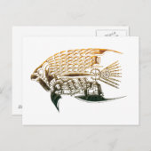 Cartes postales de poisson à la vapeur (Devant / Derrière)