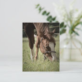 Cartes postales de pot (Debout devant)