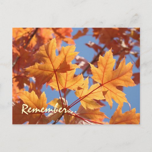 Cartes postales de rappel de service annuel (Devant)