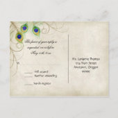 Cartes postales de réponse RSVP Peacock Feathers (Dos)