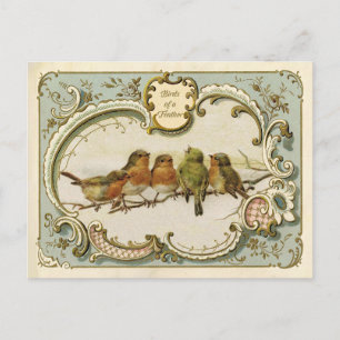 Cartes postales de reproduction vintage Birds of a