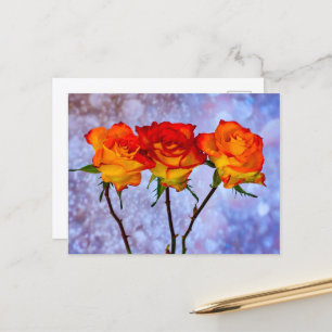 Cartes postales de roses orange et jaunes alignées