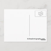 Cartes postales de salade de betteraves déconstrui (Dos)