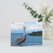 Cartes postales de salutations des Florida Keys (Debout devant)