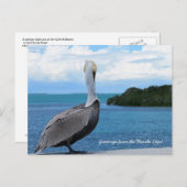 Cartes postales de salutations des Florida Keys (Devant / Derrière)