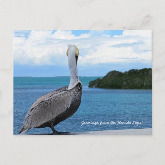 Cartes postales de salutations des Florida Keys (Devant)