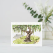 Cartes postales de saule (Debout devant)