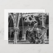 Cartes postales "de squelette de T-Rex" (Devant / Derrière)
