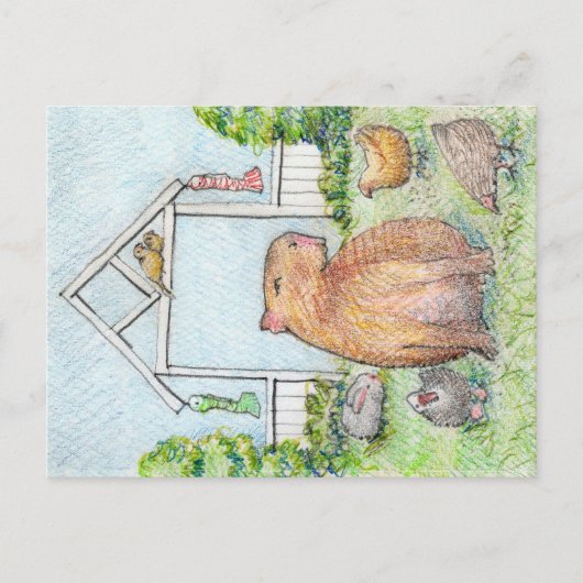 Cartes postales de Stacy's Funny Farm (Devant)