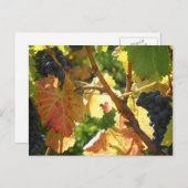 Cartes postales de voyage 65 (Devant / Derrière)