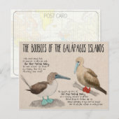 Cartes postales de voyage : Oiseaux des Galapagos (Devant / Derrière)