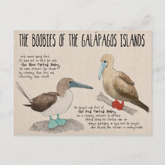 Cartes postales de voyage : Oiseaux des Galapagos (Devant)