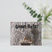 Cartes postales d'écureuil (Debout devant)