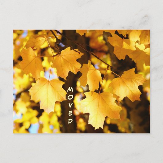 Cartes postales déménagement personnalisé Nouvelle (Devant)