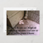 Cartes postales des Amis post-Apocalypse #7 (Devant / Derrière)