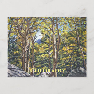 Cartes postales des arbres d'Aspen pittoresque dan