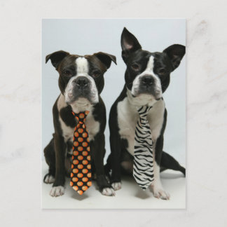 Cartes postales des frères Boston