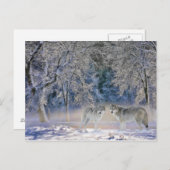 Cartes postales des loups de Yellowstone (Devant / Derrière)