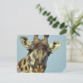 Cartes postales design Giraffe (Debout devant)