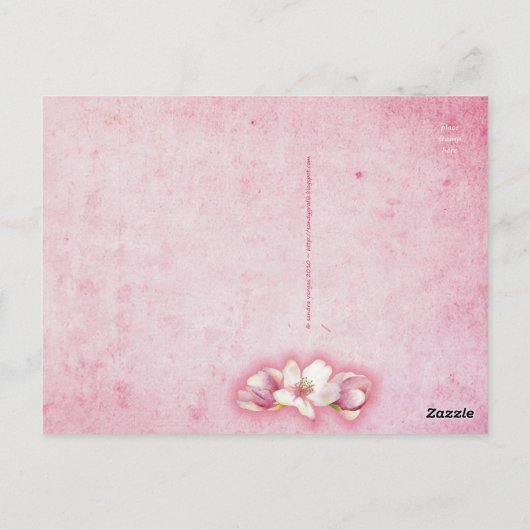 Cartes postales d'isolement (Dos)