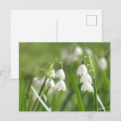 Cartes postales DIY Flocons d'été (Devant / Derrière)