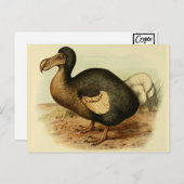 Cartes postales Dodo (Devant / Derrière)