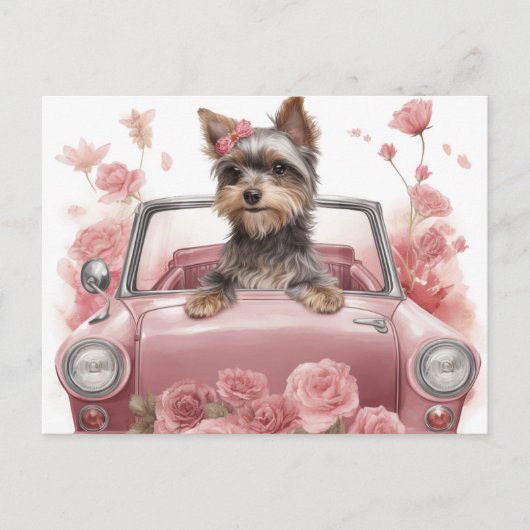 Cartes Postales Dog Yorkshire (Devant)