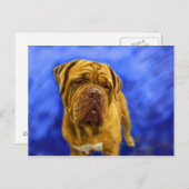 Cartes postales Dogue de Bordeaux (Devant / Derrière)