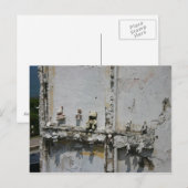 Cartes postales d'ours en peluche de Porto Rico (Devant / Derrière)