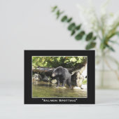 Cartes postales d'ours noir (Debout devant)