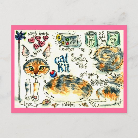 Cartes postales drôles et mignonnes de chaton (Devant)