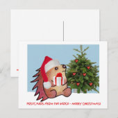 CARTES POSTALES DU BORD (Devant / Derrière)