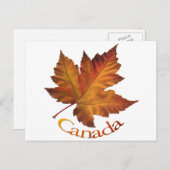 Cartes postales du Canada Carte postale Souvenir d (Devant / Derrière)