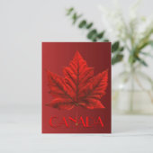 Cartes postales du Canada Carte postale Souvenir d (Debout devant)