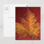 Cartes postales du Canada Carte postale Souvenir d (Devant / Derrière)