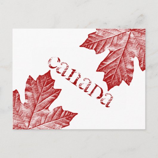 Cartes postales du Canada Carte postale Souvenir d (Devant)