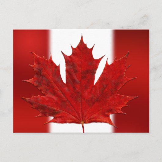 Cartes postales du drapeau du Canada Cartes postal (Devant)