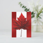 Cartes postales du drapeau du Canada Cartes postal (Debout devant)