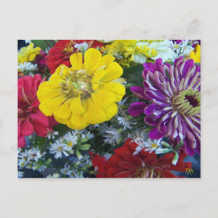 Cartes postales du marché agricole